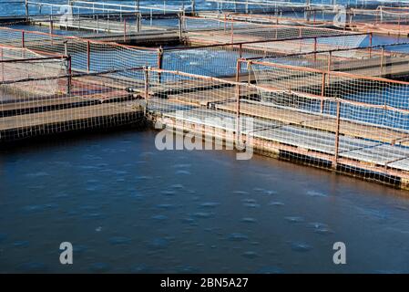 Vista invernale della fattoria di pesce per estorti con piscine naturali nel fiume Foto Stock