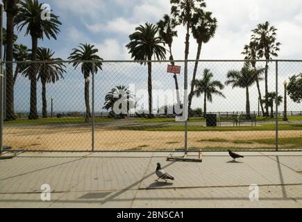 Un parco recintato di Palisades durante il blocco del coronavirus il 5/8/2020, Santa Monica, California, USA Foto Stock