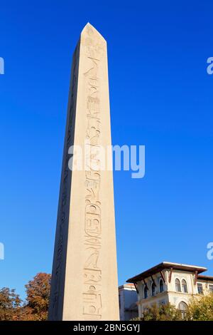 Obelisco di Theodosius,Sultanahmet District,Istanbul,Turchia,Europa Foto Stock