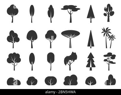 Albero glifo e cespuglio, set di icone di silhouette. Grafica nero modello pianta foresta, parco, giardino, semplice segno. Collezione di varie forme betulla, abete, palma, simbolo. Isolato su illustrazione vettoriale bianca Illustrazione Vettoriale