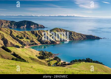 Prati e costa rocciosa, Passo Francese dello stretto, Marlborough, Nuova Zelanda Foto Stock