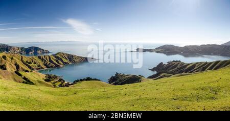 Prati e costa rocciosa, Passo Francese dello stretto, Marlborough, Nuova Zelanda Foto Stock