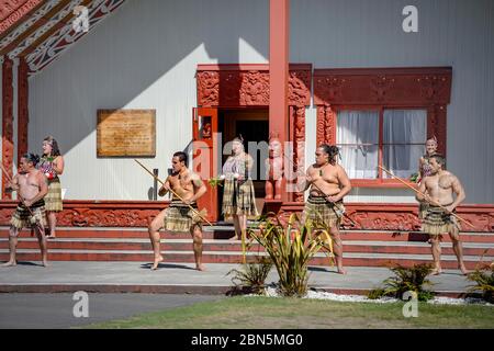 Cerimonia di benvenuto, spettacolo culturale in polvere, di fronte alla Casa dell'Assemblea, Rotowhio Marae, te Puia, Whakarewarewawa, Rotorua, Baia dell'abbondanza, nuovo Foto Stock