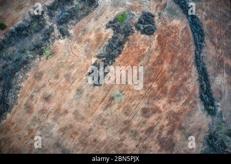 Questa foto unica mostra un campo bruciato in Thailandia dall'alto! Si possono vedere gli alberi e i rami bruciati molto bene! L'immagine è una foto drone! Foto Stock