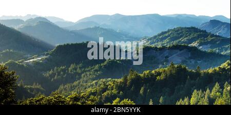 Vista sulle colline, le montagne, la foresta e le valli e molte vette di Armstrong Woods in California USA Foto Stock