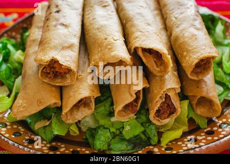 Flautas de pollo, taco dorados pollo e salsa fatto in casa cibo messicano in città del messico Foto Stock