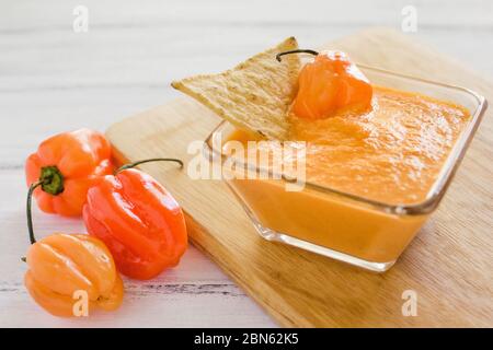 salsa habanero, salsa de chilles habaneros, piccante maturo habanero peperoncino piccante cibo messicano in messico Foto Stock