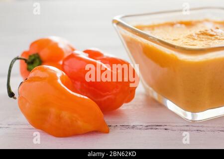 salsa habanero, salsa de chilles habaneros, piccante maturo habanero peperoncino piccante cibo messicano in messico Foto Stock