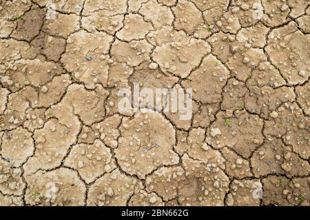 Crepe in suolo asciutto dovuto mancanza di pioggia. Terreno arido con crepe e vegetazione assente Foto Stock