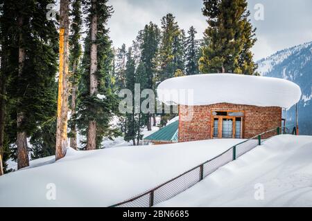 Una cabina Lodge in una foresta densa durante la stagione della neve. Una casa in un paesaggio invernale in Kashmir Foto Stock