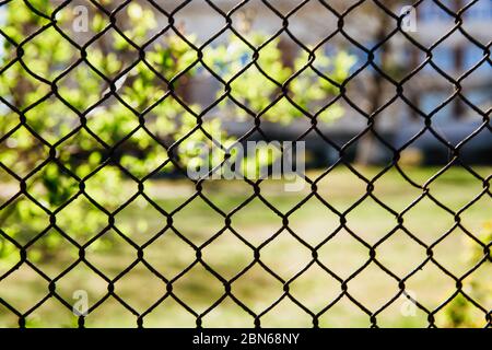 Recinzione in rete di ferro su uno sfondo di natura. Foto Stock