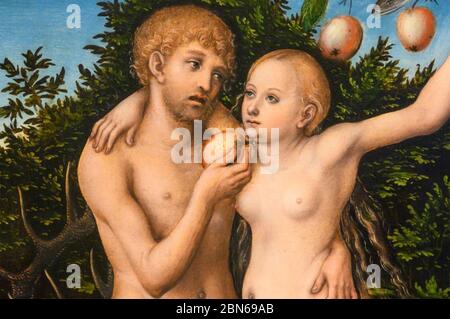 LUCAS CRANACH IL MAGGIORE (c 1472-1553) pittore e incisore rinascimentale tedesco. Una sezione di una delle diverse versioni di Adamo ed Eva dipinta da Cranach Foto Stock