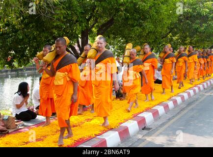 Thailandia: Alcuni dei 500 monaci dhutanga che si trasformano intorno al fossato centrale di Chiang mai su un letto di petali di fiori. 9 aprile 2014. Dhutanga (conosciuto in Tha Foto Stock