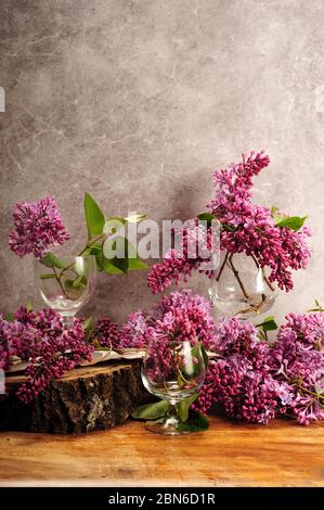 Bouquet di lilac viola in bicchieri da vino. Fiori contro muro di cemento posto su corteccia e fetta di tronco di albero su tavolo di legno. Foto verticale con c Foto Stock