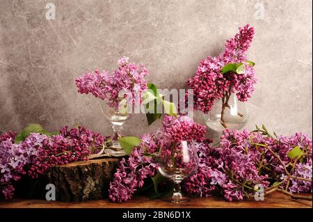 Foto orizzontale di disposizione lilla. Fiori viola in vasi di vetro contro parete di cemento e circondati da lilac, foglie, fetta di tronco di albero e t Foto Stock