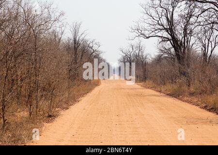 Strada sterrata nel Parco Nazionale di Mana Pools, Zimbabwe Foto Stock