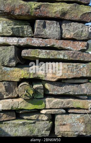 Muro di pietra a secco di recente costruzione, parte di un piano di sovvenzione per ripristinare i muri nelle aziende agricole nel Regno Unito. North Yorkshire. Foto Stock