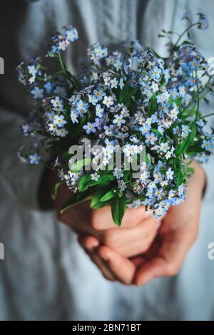 Le mani della giovane donna che tengono un bouquet di dimentichi-me-nots. Primo piano di ripresa sfocata nei bordi Foto Stock