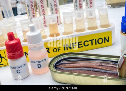 Il cibo in scatola può essere contaminato dalla tossina botulinica Clostridium che causa botulismo negli esseri umani, ricerca di laboratorio, immagine concettuale Foto Stock