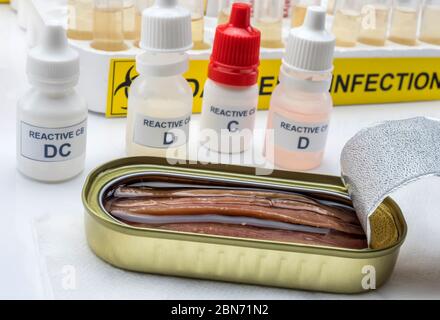 Il cibo in scatola può essere contaminato dalla tossina botulinica Clostridium che causa botulismo negli esseri umani, ricerca di laboratorio, immagine concettuale Foto Stock