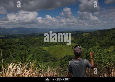 Un uomo tribale si occupa del suo campo di Jhum a Thanchi a Bandarban, Bangladesh, il 27 agosto 2019. Jhum è il raccolto principale per la comunità tribale che vive nelle piste di Chittagong Hill in Bangladesh. Jhum raccolti- risone, fresco, zenzero, curcuma, mais, zucca, cotone, brinjal, okra, spinaci qualche altra raccolta di verdure su pendii di collina ogni anno. I coltivatori tribali applicano il loro tecnico speciale per coltivare Jhum. Undici comunità indigene vivono nelle terre collinari che dipendono dalle colture Jhum. In questa stagione intere terre collinose ottengono l'aspetto dorato. Foto Stock