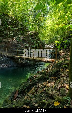 Ruscello della foresta pluviale in fondo alla valle, Costa Rica Foto Stock
