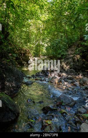 Ruscello della foresta pluviale in fondo alla valle, Costa Rica Foto Stock