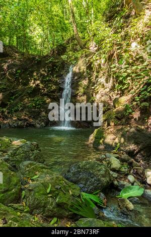 Ruscello della foresta pluviale in fondo alla valle, Costa Rica Foto Stock