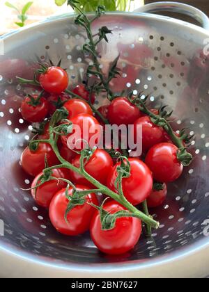 Pomodori ciliegini freschi sulla vite - Vista dall'alto pronta da aggiungere a un'insalata Foto Stock