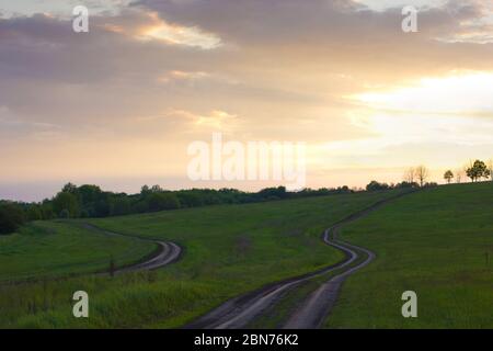 Due strade sterrate tra prati con cespugli e alberi in lontananza al tramonto Foto Stock