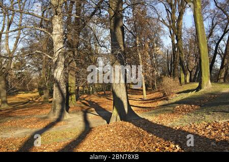 Park di Brzeg. Opole voivodato. Polonia Foto Stock