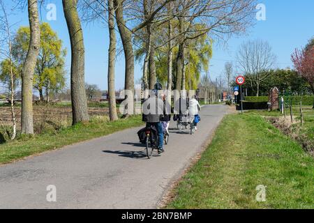 Sint Gillis WAAS, 5 aprile 2020, quattro ciclisti cavalcano sotto il sole primaverile su una strada rurale tra il verde Foto Stock