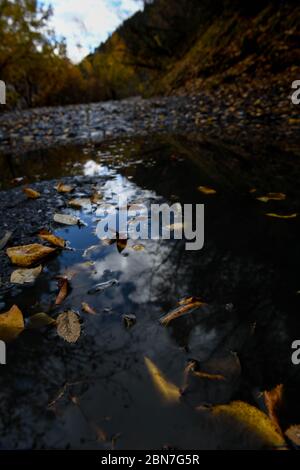 Caucaso, Georgia, regione Tusheti, Dartlo. Il cielo si riflette in acqua con foglie autunnali su una strada a Tusheti Foto Stock