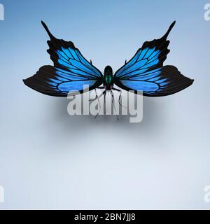 Bella farfalla tropicale grande Morpho didius.3D rendering. Foto Stock