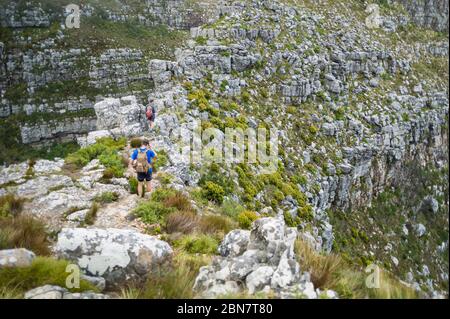 Devils Peak nel Table Mountain National Park, Città del Capo, Sud Africa offre sentieri escursionistici urbani come questo percorso attraverso Mowbray Ridge fino a Devil's Peak. Foto Stock