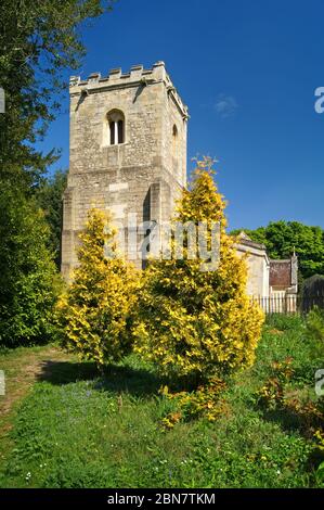 Regno Unito, South Yorkshire, Doncaster, Brodsworth, St Michaels Church Foto Stock