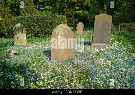 Regno Unito, South Yorkshire, Doncaster, Brodsworth, St Michaels Church Graveyard Foto Stock