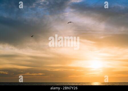 gabbiani che volano sul mare attraverso lo spettacolare cielo nuvoloso al tramonto, concetto di libertà, spazio di copia per il testo Foto Stock