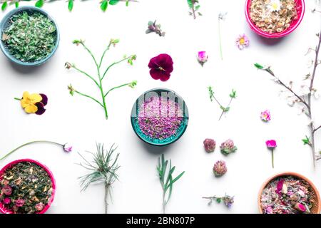 assortimento di fiori secchi profumati e varietà herbals tè in ciotole di ceramica isolato su bianco. Medicina di erbe, omeopatia e tè di erbe per lui Foto Stock