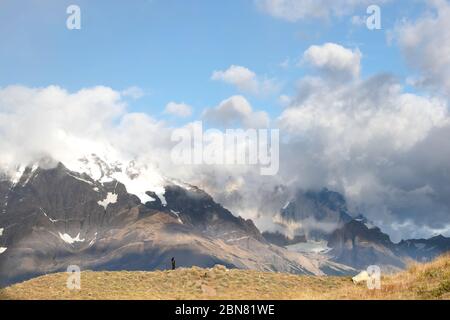 Scouting per Pumas sul versante montano, di fronte alle Torres del Paine, Magellanes, Cile Foto Stock