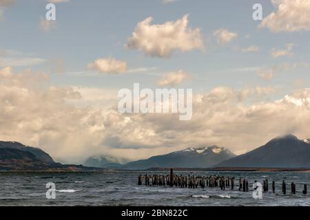 Pali di legno di un vecchio molo, Puerto Natales, Patagonia, Cile, Cerro Monumento Moore sullo sfondo. Foto Stock