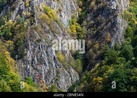 Scogliera di roccia coperta di foresta d'autunno Foto Stock