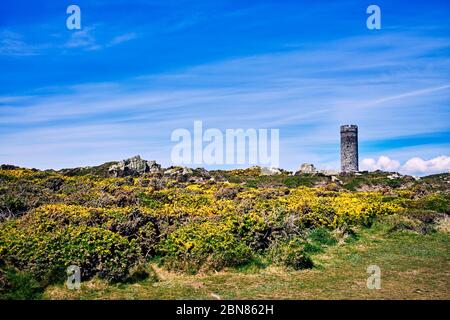 La torre di aringa sulla penisola di Langness, Isola di Man Foto Stock
