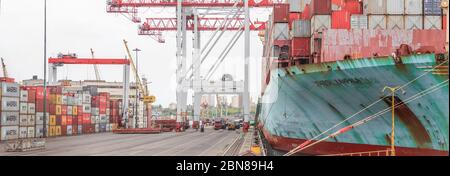 SINGAPORE - MAGGIO 08 2020: Carico di nave di carico del contenitore nel porto marittimo. Logistica e trasporto container nave Cargo con ponte gru funzionante in s. Foto Stock