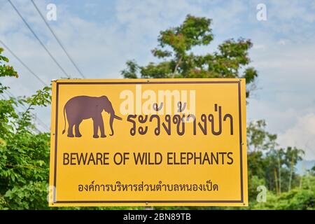 Un segnale stradale di avvertimento degli elefanti selvatici, preso a Kanchanaburi, Thailandia. Foto Stock
