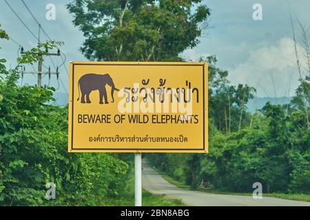 Un segnale stradale di avvertimento degli elefanti selvatici, preso a Kanchanaburi, Thailandia. Foto Stock