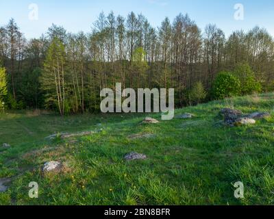 Campi di massi chiamati Bachanowo, un paesaggio post glaciale. Parco paesaggistico di Suwalski, Podlaskie, Polonia Foto Stock