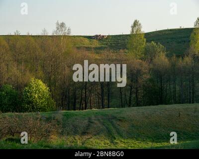 Campi di massi chiamati Bachanowo, un paesaggio post glaciale. Parco paesaggistico di Suwalski, Podlaskie, Polonia Foto Stock