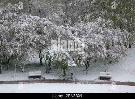 Kaunas Lituania. Neve il 12 maggio mattina a Kaunas. Nome oggetto:meteo lituania 2020-05-12 Foto Stock