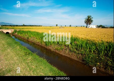 Poble Nou del Delta,provincia di Tarragona,Catalogna,Spagna Foto Stock